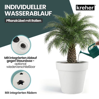 2 x XXL Pflanzkübel / Pflanztopf „LIKE“ Ø 79 x H 69 cm - Weiß - Rund, Rollbar - UV- & Wetterfest - Robuster Blumentopf in Natur Stein Optik