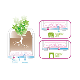 XL Pflanzkasten "Cosmo" mit Rollen und Wasserstandanzeige  (Farbe/Größe wählbar)