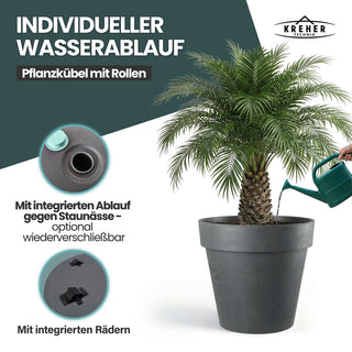 2 x XXL Pflanzkübel / Pflanztopf „LIKE“ Ø 79 x H 69 cm - Anthrazit - Rund, Rollbar - in Natur Stein Optik