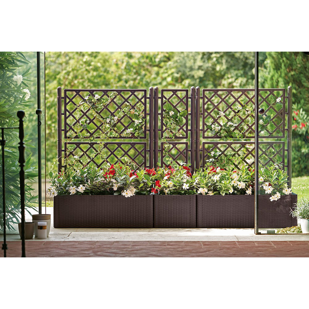 Set: 2 x XL PFLANZKASTEN mit Wasserspeicher Rattan (breite Version) Farbe: Anthrazit
