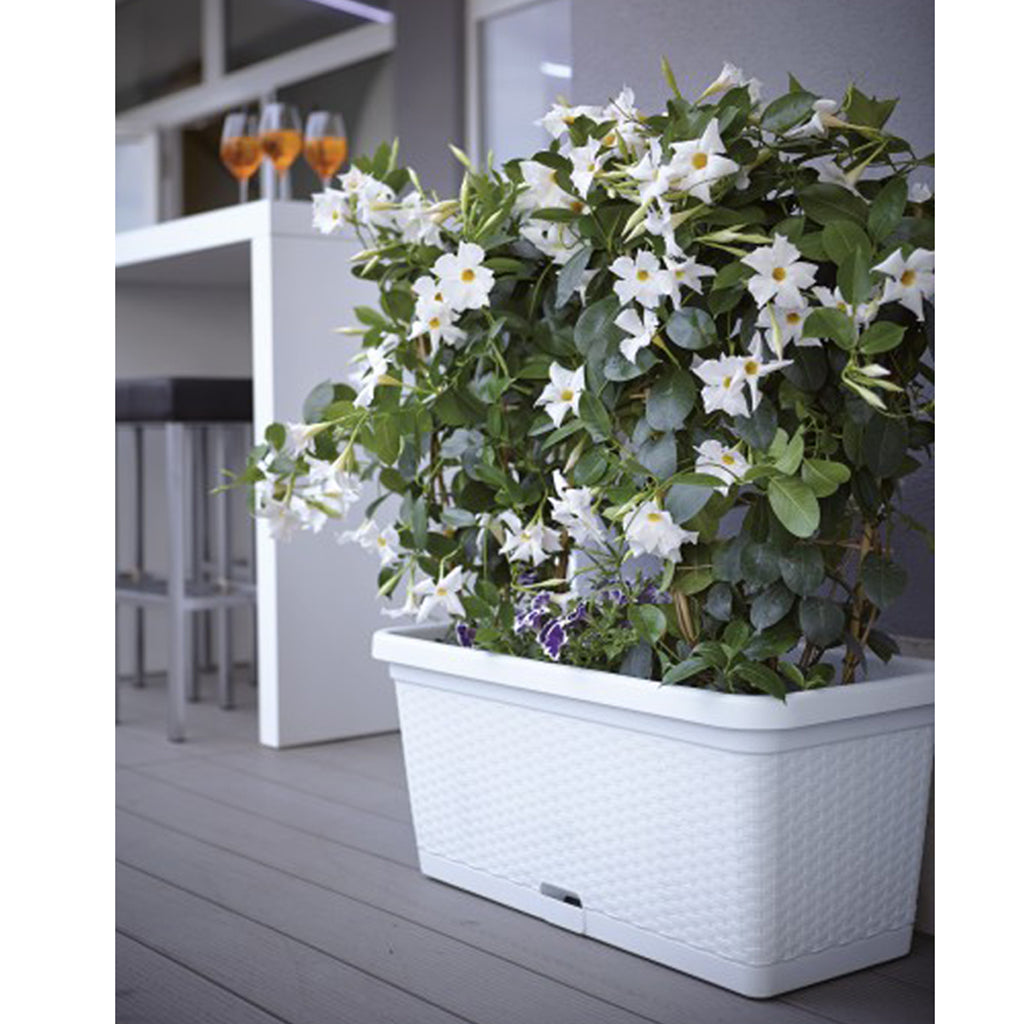 Rollbarer Blumenkasten in Rattan-Optik 80 cm (Farbe wählbar) – Kreher Technik